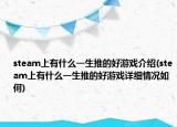 steam上有什么一生推的好游戏介绍(steam上有什么一生推的好游戏详细情况如何)