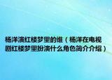 杨洋演红楼梦里的谁（杨洋在电视剧红楼梦里扮演什么角色简介介绍）