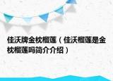 佳沃牌金枕榴莲（佳沃榴莲是金枕榴莲吗简介介绍）