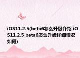 iOS11.2.5(beta6怎么升级介绍 iOS11.2.5 beta6怎么升级详细情况如何)