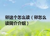 卯这个怎么读（卯怎么读简介介绍）