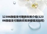 12306微信支付跳转失败介绍(12306微信支付跳转失败详细情况如何)