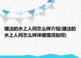 塘沽的水上人间怎么样介绍(塘沽的水上人间怎么样详细情况如何)