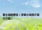 梁小龙的原名（求梁小龙简介简介介绍）
