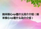 纳米核心op是什么简介介绍（纳米核心op是什么简介介绍）