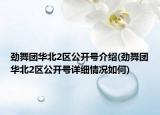 劲舞团华北2区公开号介绍(劲舞团华北2区公开号详细情况如何)