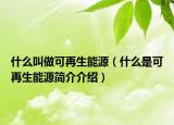 什么叫做可再生能源（什么是可再生能源简介介绍）