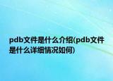 pdb文件是什么介绍(pdb文件是什么详细情况如何)