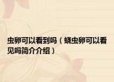 虫卵可以看到吗（蛲虫卵可以看见吗简介介绍）