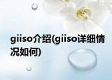 giiso介绍(giiso详细情况如何)