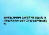 张婧懿的(斑马斑马 在哪可以下载 歌曲介绍 张婧懿的 斑马斑马 在哪可以下载 歌曲详细情况如何)