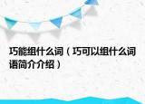 巧能组什么词（巧可以组什么词语简介介绍）