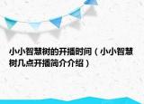 小小智慧树的开播时间（小小智慧树几点开播简介介绍）