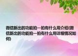 微信新出的功能拍一拍有什么用介绍(微信新出的功能拍一拍有什么用详细情况如何)