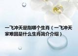 一飞冲天是指哪个生肖（一飞冲天家难回是什么生肖简介介绍）