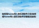 如何用itunes导入音乐到软件介绍(如何用itunes导入音乐到软件详细情况如何)