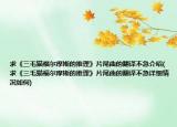求《三毛猫福尔摩斯的推理》片尾曲的翻译不急介绍(求《三毛猫福尔摩斯的推理》片尾曲的翻译不急详细情况如何)