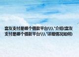 富友支付是哪个借款平台\