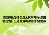法国鳄鱼为什么这么贵啊介绍(法国鳄鱼为什么这么贵啊详细情况如何)