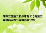 胡莱三国赵云和少年赵云（胡莱三国真赵云怎么获得简介介绍）