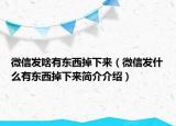 微信发啥有东西掉下来（微信发什么有东西掉下来简介介绍）