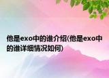 他是exo中的谁介绍(他是exo中的谁详细情况如何)