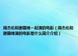 周杰伦和谢霆锋一起演的电影（周杰伦和谢霆锋演的电影是什么简介介绍）