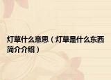 灯草什么意思（灯草是什么东西简介介绍）