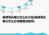 脸颊毛孔粗大怎么办介绍(脸颊毛孔粗大怎么办详细情况如何)