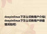 deepinlinux下怎么切换用户介绍(deepinlinux下怎么切换用户详细情况如何)