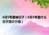 6月5号是啥日子（6月5号是什么日子简介介绍）