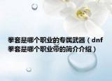 拳套是哪个职业的专属武器（dnf拳套是哪个职业带的简介介绍）