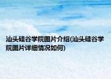 汕头硅谷学院图片介绍(汕头硅谷学院图片详细情况如何)