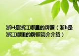 浙H是浙江哪里的牌照（浙h是浙江哪里的牌照简介介绍）