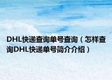 DHL快递查询单号查询（怎样查询DHL快递单号简介介绍）