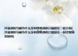 沙溢演的马赫为什么没和殷桃演的江婧超在一起介绍(沙溢演的马赫为什么没和殷桃演的江婧超在一起详细情况如何)