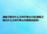 湖南卫视为什么又叫芒果台介绍(湖南卫视为什么又叫芒果台详细情况如何)