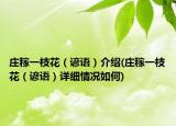 庄稼一枝花（谚语）介绍(庄稼一枝花（谚语）详细情况如何)