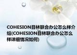 COHESION目林联合办公怎么样介绍(COHESION目林联合办公怎么样详细情况如何)