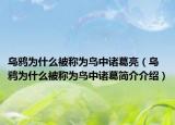 乌鸦为什么被称为鸟中诸葛亮（乌鸦为什么被称为鸟中诸葛简介介绍）