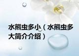 水熊虫多小（水熊虫多大简介介绍）