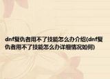 dnf复仇者用不了技能怎么办介绍(dnf复仇者用不了技能怎么办详细情况如何)