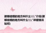 谢娜结婚的地方叫什么\
