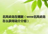北风幼龙在哪刷（wow北风幼龙怎么获得简介介绍）