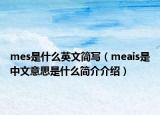 mes是什么英文简写（meais是中文意思是什么简介介绍）