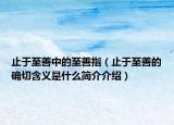 止于至善中的至善指（止于至善的确切含义是什么简介介绍）