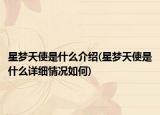 星梦天使是什么介绍(星梦天使是什么详细情况如何)