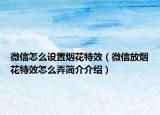 微信怎么设置烟花特效（微信放烟花特效怎么弄简介介绍）