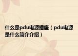 什么是pdu电源插座（pdu电源是什么简介介绍）