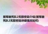 盟军敢死队2无敌密码介绍(盟军敢死队2无敌密码详细情况如何)
